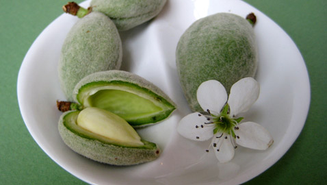 تعرفوا على أبرز فوائد وأضرار اللوز الأخضر 