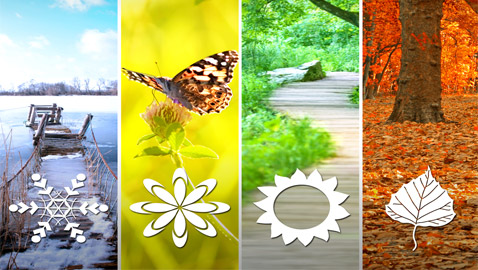 أي فصل من السنة هو المفضل لديك؟ إليك السبب وما علاقته بشخصيتك!