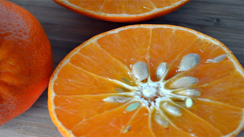 10 فوائد صحية مذهلة لبذور البرتقال ستجعلكم تحرصون على تناولها يوميا