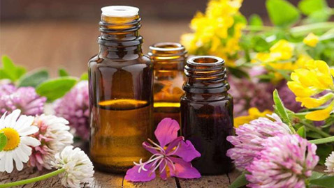 إليكم أفضل وأبرز أنواع الزيوت الطبيعية للعناية بالبشرة والشعر والجسم