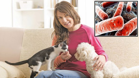 إليكم 10 أمراض معدية التي تنتقل من الحيوانات إلى البشر