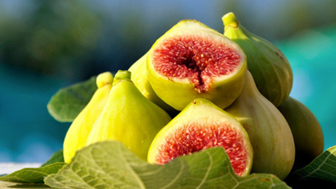 التين: فوائده، الآثار الجانية له، وأهم النصائح لزيادة تناوله