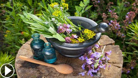 النباتات الطبية: كنوز الطبيعة تحوي مكوناتها قدرات هائلة.. فيديو