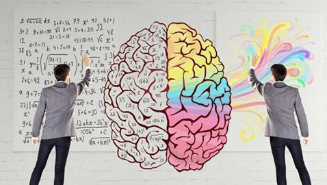 أعضاء في جسمنا يمكن العيش من دونها