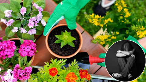 علاج لمرضى الاكتئاب.. بالنباتات