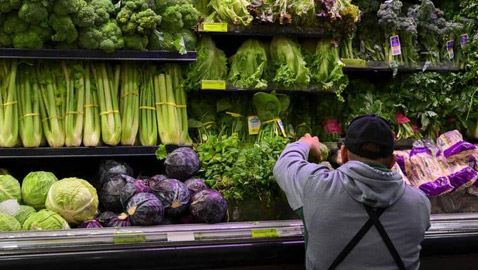 هل تفضل الخس الأحمر أم الأخضر؟.. إليك الفوارق والفوائد