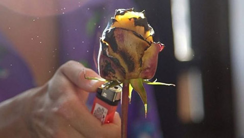 لو كان الألم ملموسا، فكيف يكون شكله؟