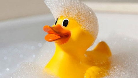 بطة الاستحمام الشهيرة.. 