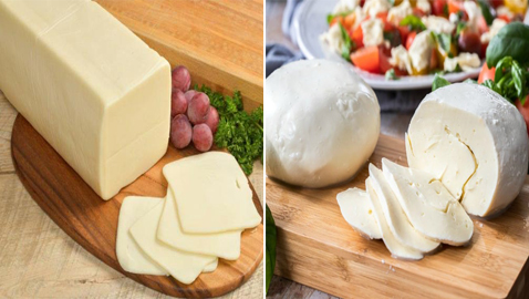 ماذا تعرف عن جبنة موتزاريلا؟ إليك أصلها وفوائدها