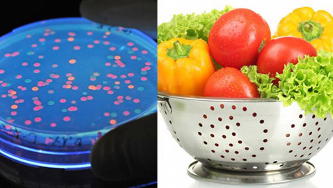 أبرز خمسة أسباب لانتشار الجراثيم في الغذاء! 