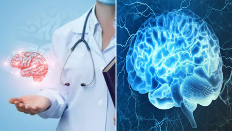 10 أشياء تساهم في تعزيز نمو الخلايا العصبية وتحسين صحة الدماغ