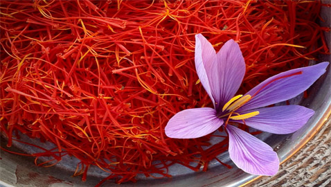 يُعتبر من أقدم وأغلى التوابل في العالم.. تعرفوا على فوائد الزعفران المدهشة