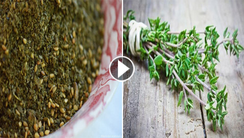يُرافق زيت الزيتون ويُزيّن موائد الفطور.. ما هو أصل الزعتر؟ فيديو