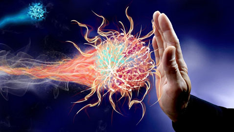 بخطوات بسيطة.. كيف تقوي جهازك المناعي ليقاوم الفيروسات؟