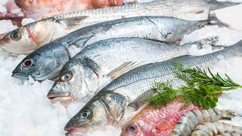 التفاح والسمك والشوفان لضبط الكولسترول