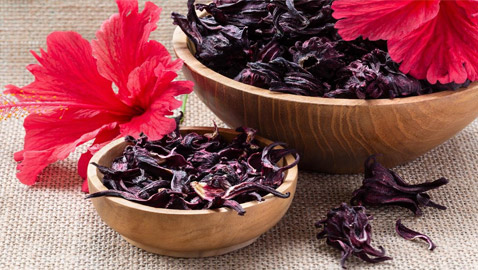 فوائد الكركديه لمعالجة تساقط الشعر وتعزيز نموه