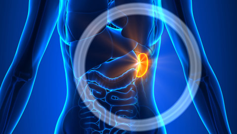 لا تتجاهلها.. أعراض تدل على التهاب الطحال تستلزم استشارة الطبيب فورا!