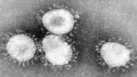 الفيروس المرعب يصيب 440 شخصا في الصين ويزحف لباقي العالم!