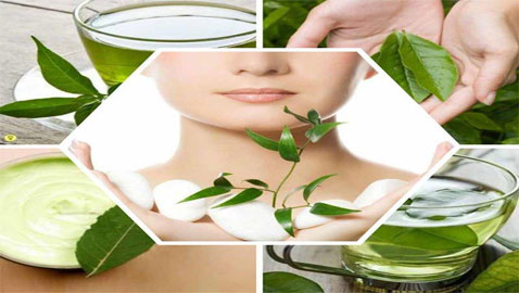 الشاي الاخضر مذهل للبشرة: نضارة، مكافحة التجاعيد والهالات السوداء