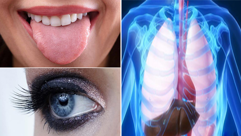 تصغر الإنسان.. 5 أعضاء في الجسم أصغر عمرا مما نتصور!