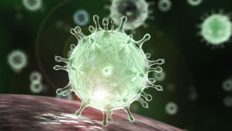 أميركا واليابان تسجلان أول وفيات بفيروس كورونا