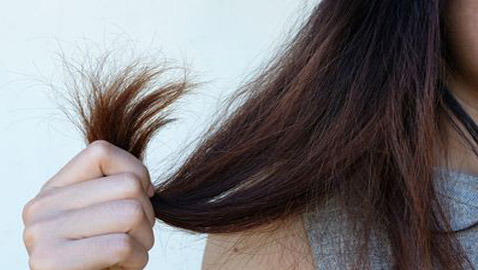 جفاف الشعر.. 5 علاجات منزلية سريعة وسهلة