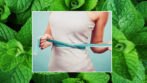 هذه الأوراق الخضراء تساعد في إنقاص وزنك