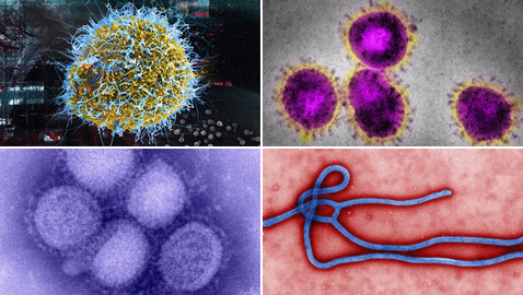 ما الذي يخبئه المستقبل لفيروس كورونا؟ هكذا انتهت 3 أمراض معدية أخرى