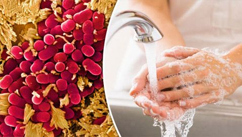 ماء دافئ وصابون.. أفضل من الكحول للقضاء على فيروس كورونا