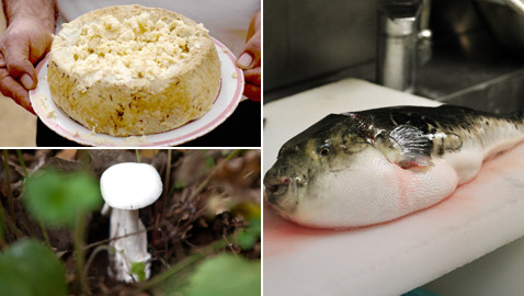 أسماك سامة وفطر قاتل.. إليكم أخطر أطعمة يأكلها البشر في العالم!