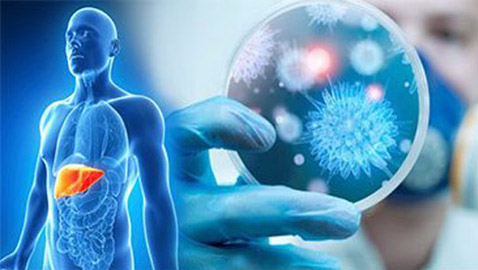 كيف يؤثر فيروس كورونا على الكبد؟.. هذا سر وفاة الأصحاء!