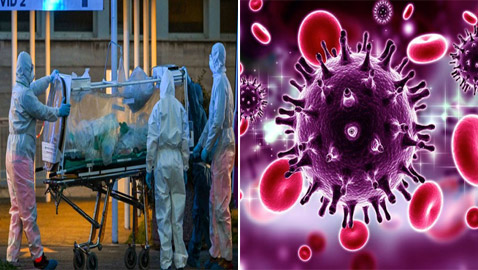 خلال أيام.. إصابات فيروس كورونا تتجاوز المليون وعدد الوفيات 50 ألفا