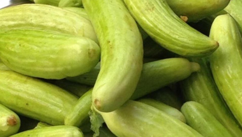 فوائد الفقوس للصحة وخسارة الوزن