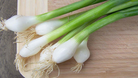 فوائد البصل الأخضر والقيمة الغذائية له