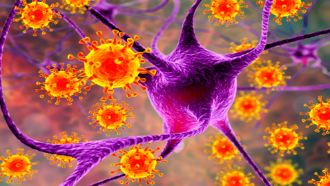 فيروس كورونا: الوفيات تتجاوز 200 ألف والإصابات تقترب من ثلاثة ملايين