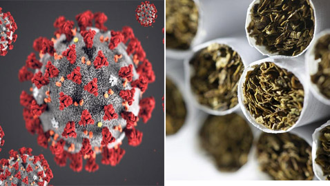 كورونا والنيكوتين.. علماء يختبرون النظرية المدهشة!