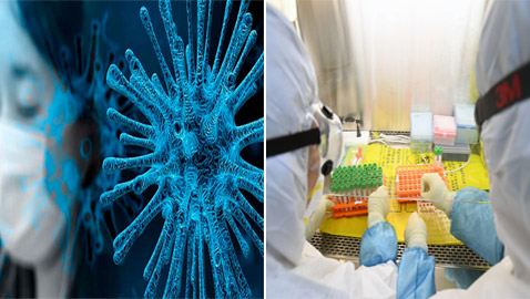 أمريكا: فيروس كورونا ليس نتاجا لنشاطات بشرية أو تحوير وراثي