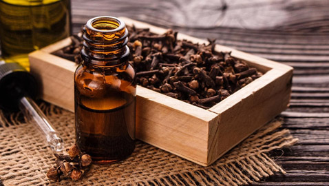 هل زيت القرنفل يعالج فيروس كورونا؟