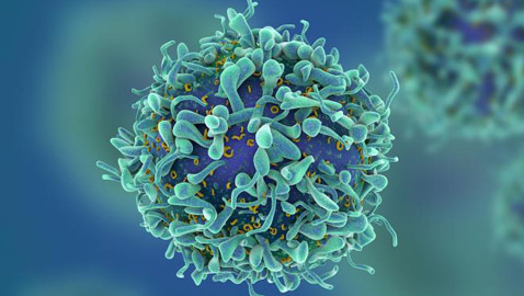 تحذير من فيروس فتاك أخطر من كورونا قد يقضي على نصف العالم!