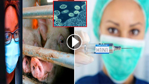 فيروس الخنازير: العالم يترقب إنفلونزا جديدة والصحة العالمية: احذروا!