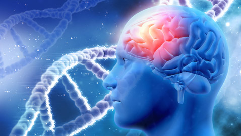 بشرى سارة لمصابي الزهايمر.. جين يحارب المرض