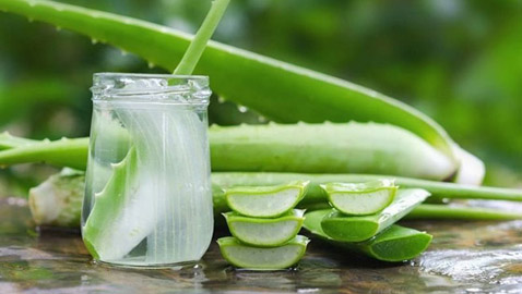 مكعبات الصبّار المثلجة لتمليس التجاعيد في ثوانٍ