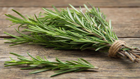 للبشرة والشعر والتنحيف.. إكليل الجبل عشبة سحرية بفوائد مذهلة!