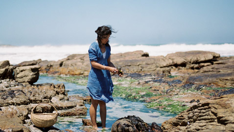 من البرية إلى المائدة.. طاهية تعيد صيحة البحث عن الطعام في جنوب أفريقيا