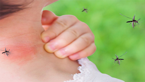5 طرق طبيعية وحيل لمنع البعوض من الاقتراب منك!