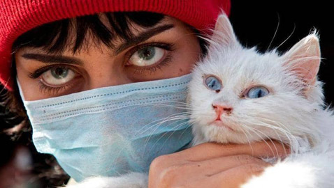 هل ينتقل كورونا من الإنسان للحيوان؟.. دراسة تحسم الجدل