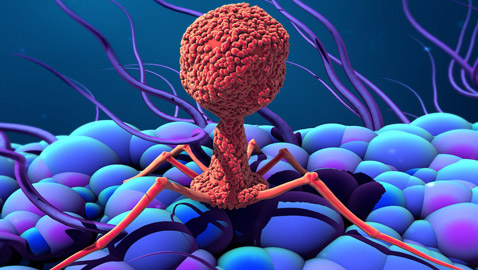 انتشار فيروس جديد في الصين بسبب تسرب من مختبر اللقاحات!