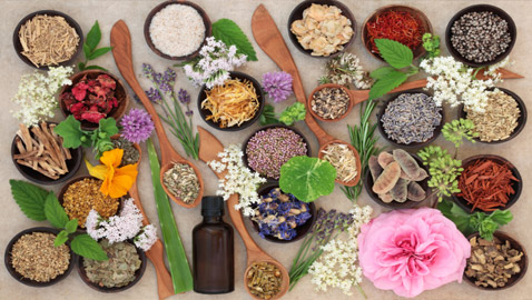 5 نباتات طبية بالطبيعة فوائدها مؤكدة: تقي من السرطان وتعالج حب الشباب