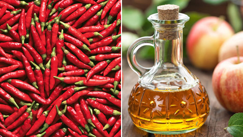 بدون أدوية.. إليكم 5 أطعمة ومشروبات تخلص جسمكم من الدهون