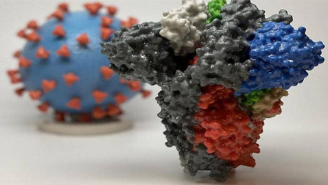 كورونا المتحور.. لماذا القلق من السلالة الجديدة للوباء؟!